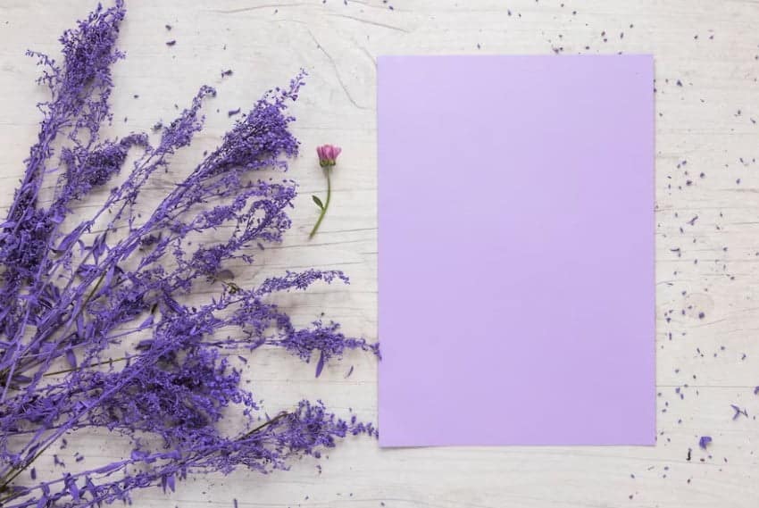 Kolor lawendowy - kompozycja