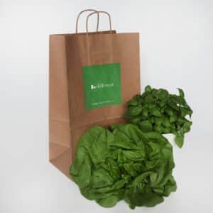 Ciekawa realizacja firmowej torby papierowej z wykorzystaniem koloru zielonego