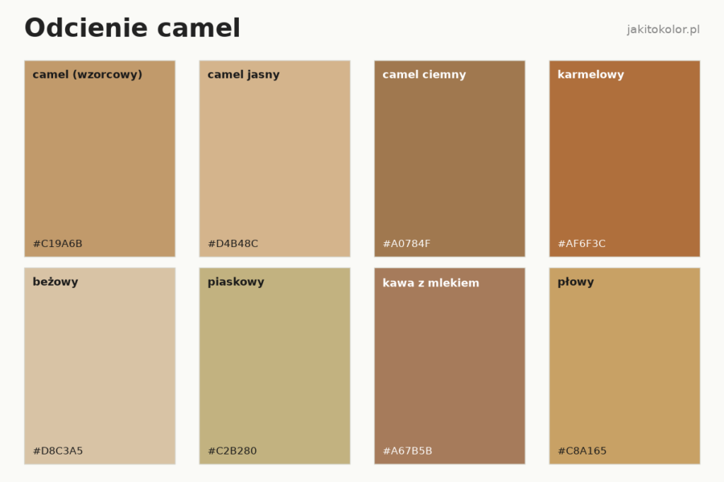 Odcienie camel: nazwy i kody HEX