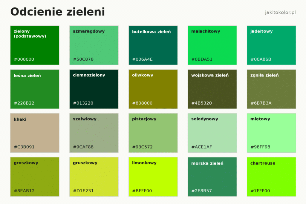 Odcienie zieleni: nazwy i kody HEX