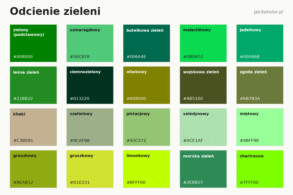 Odcienie zieleni: nazwy i kody HEX